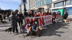 Manifestación No A La Caza (A Coruña) . Fracaso es Manifestación